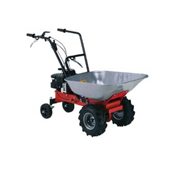 Trasporter-Eurosystem-Carry-GCV-135