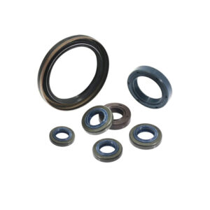 ANELLO DI TENUTA BRIGGS & STRATTON -692550