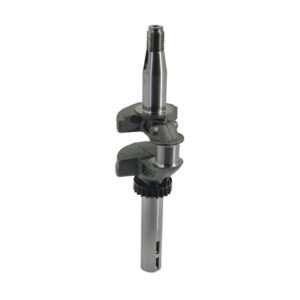 ALBERO MOTORE 09P BRIGGS & STRATTON -590537