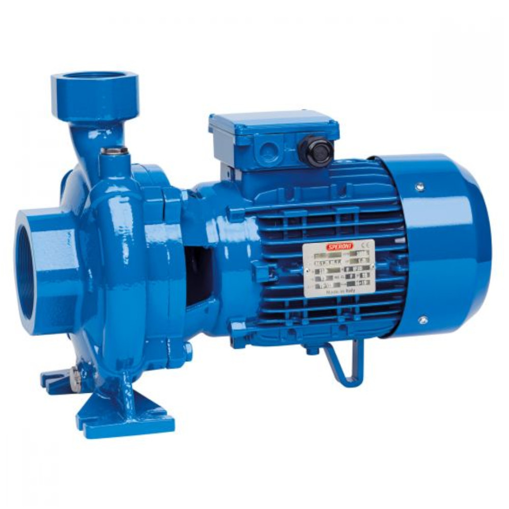 Elettrompompa da superficie Speroni CFM 200 monofase - 10116020