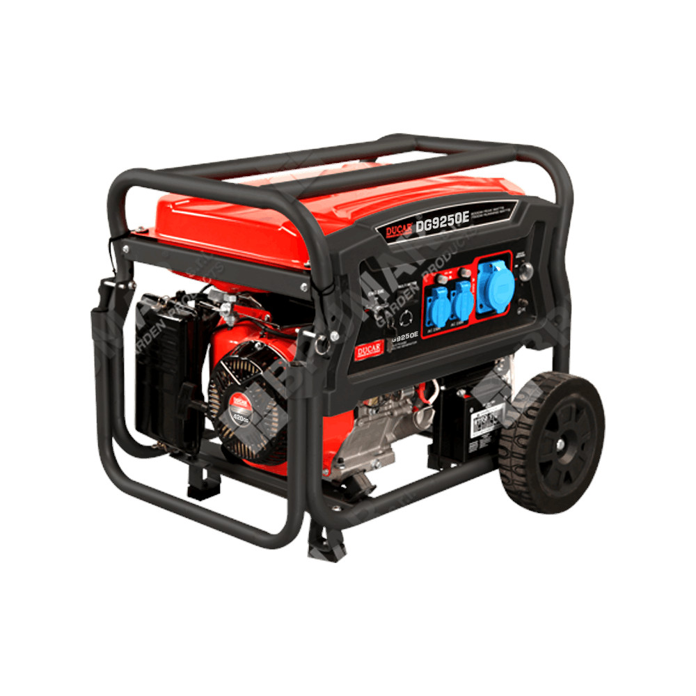Motogeneratore Ducar DG9250E