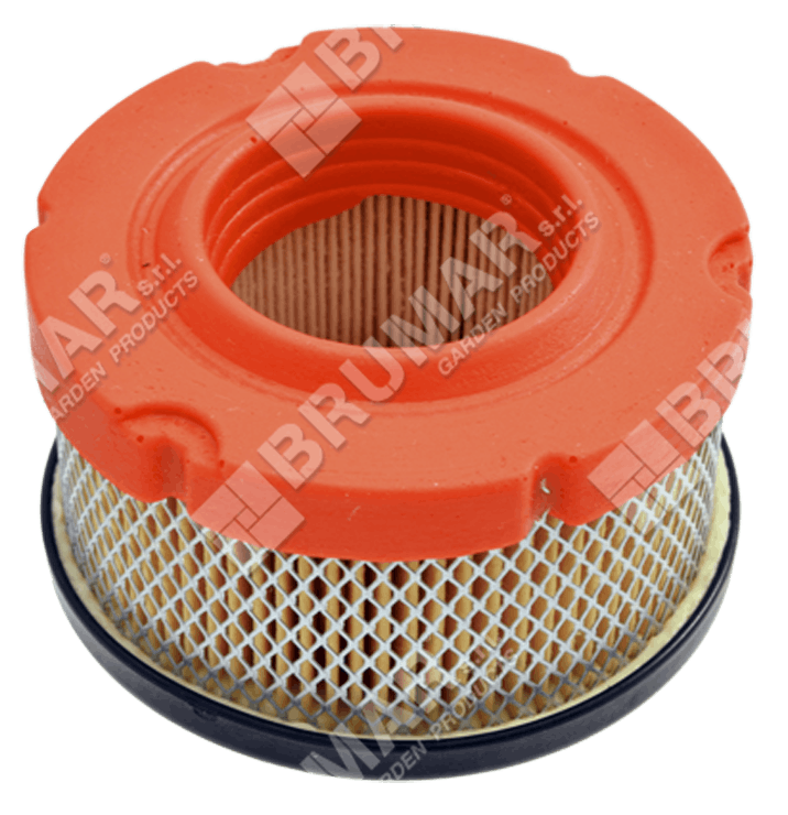 Filtro aria per motori BRIGGS & STRATTON 797819 - 035413 Filtro aria per motori BRIGGS & STRATTON 797819 - 035413