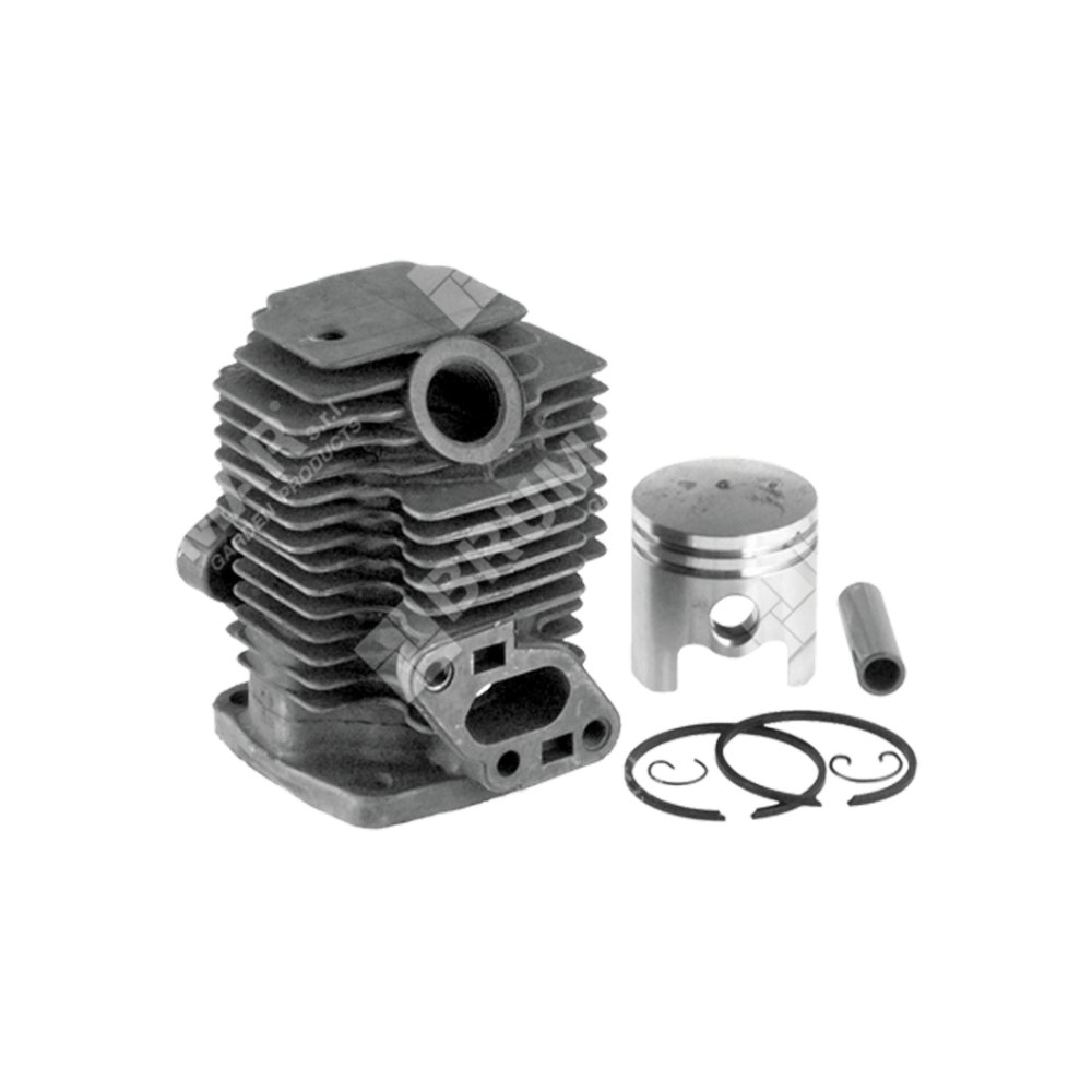 cilindro-completo-per-motori-mitsubishi-diametro-31-mm_0c638e0805.jpg