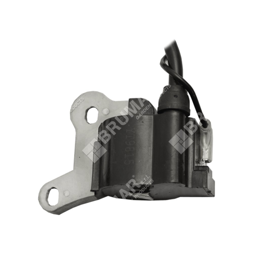 bobina-accensione-per-decespugliatori-progreen_c61a37edc3.jpg