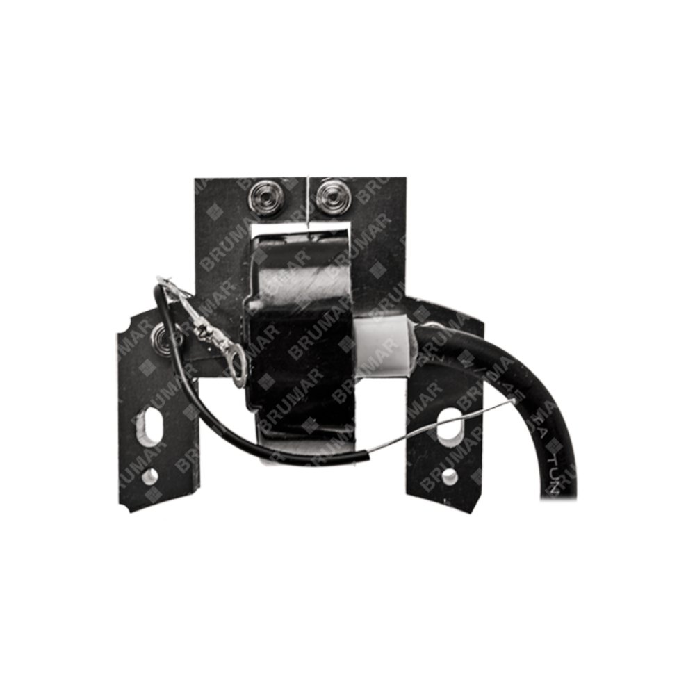 bobina-accensione-per-motori-briggs-stratton-298331-298316-291617_df57e0dffb.jpg