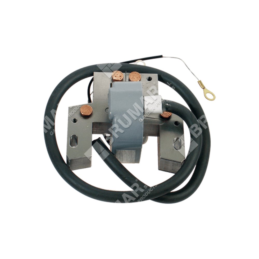 bobina-accensione-per-motori-briggs-stratton-298968-299366_d4ac399a24.jpg