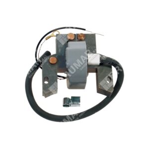 Bobina accensione per motori BRIGGS & STRATTON 299850 - 298502 - 395488 - 697036 - 000089