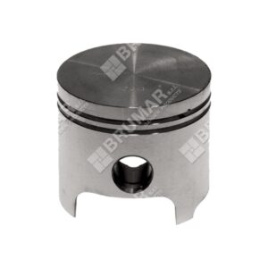 Pistone completo diametro 48 mm per atomizzatori EMAK - OLEO MAC - DYNAMAC - EFCOÂ -Â 001500