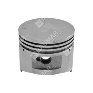 Pistone completo diametro 52 mm per motopompe DUCARÂ -Â 038607