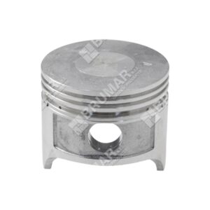 Pistone completo diametro 54 mm per motopompe DUCAR - 049574